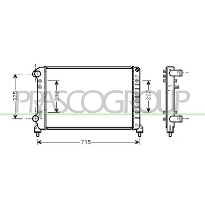Afbeelding van Radiateur PRASCO FT908R003