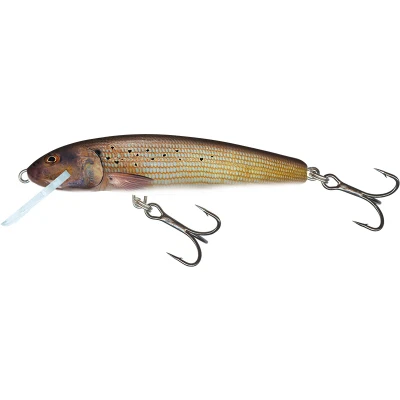 Afbeelding van Salmo Minnow Sinking 6cm 6g (diepte: 1 1.5m) Kleur : Grayling