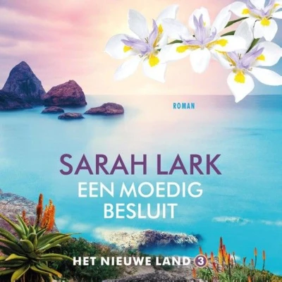 Afbeelding van Een moedig besluit