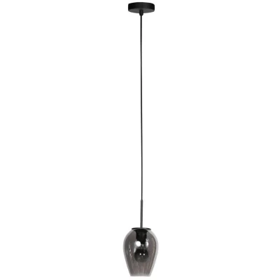 Afbeelding van Steinhauer Hanglamp HaloSwap met 1 smoke glas Ø 15cm 4290ZW