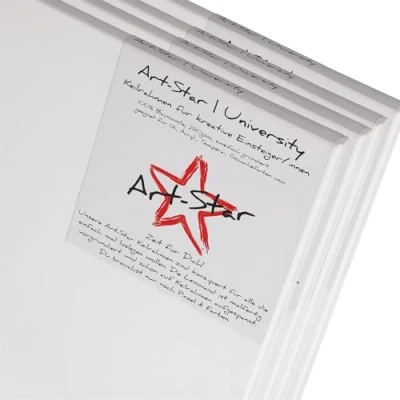Afbeelding van 4x SCHILDERSDOEKEN op SPIERAAM 40x80 cm canvas brancardframe, klaar om te schilderen, 100% katoen, ideaal voor beginners