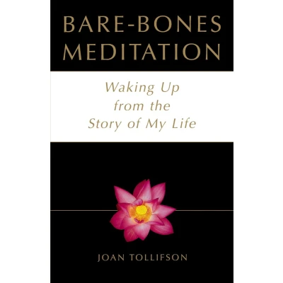 Afbeelding van Bare Bones Meditation: Waking Up from the Story of My Life