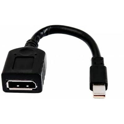 Afbeelding van HP Single miniDP to DP Adapter Cable