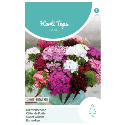 Afbeelding van Dianthus, Duizendschoon enkelbloemig gemengd