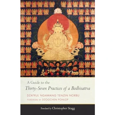 Afbeelding van a Guide to the Thirty Seven Practices of Bodhisattva