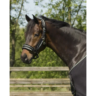 Afbeelding van QHP Halsterset Dolci