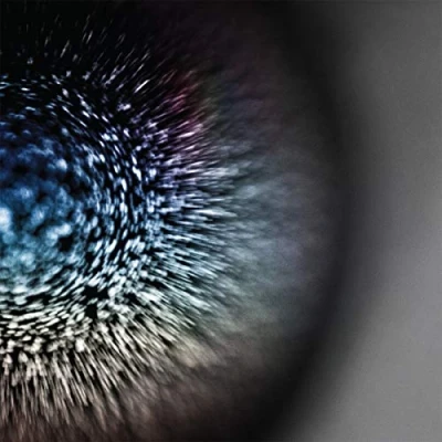 Afbeelding van Emptyset Blossoms (LP)
