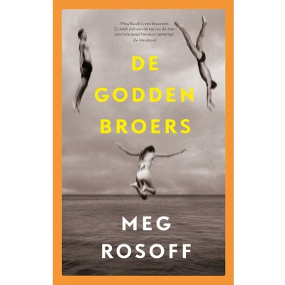 Afbeelding van De Godden broers (Hardback)