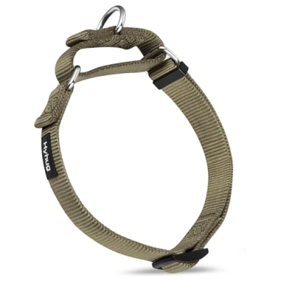 Afbeelding van Hyhug Duurzame nylon verstikkingshalsband, geschikt voor dagelijks gebruik en training van kleine, middelgrote grote honden (medium, legergroen)