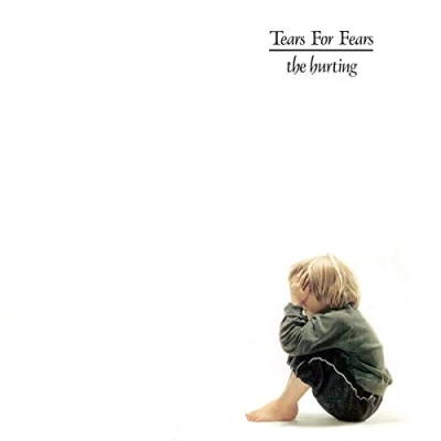 Afbeelding van Tears For Fears Hurting (LP)