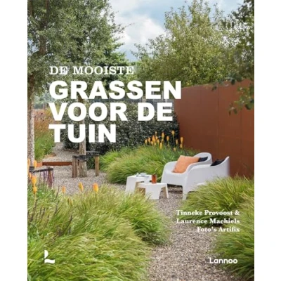 Afbeelding van de mooiste grassen voor tuin