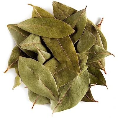 Afbeelding van Laurier Blad Bio Kruid Laurierblad Hele Culinaire Laurierbladeren Kruidenthee
