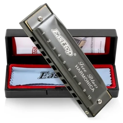 Afbeelding van East top Blues mondharmonica in C, 10 Holes harp Diatonische C voor volwassenen, beginners, professionals en studenten (zilvergrijs)