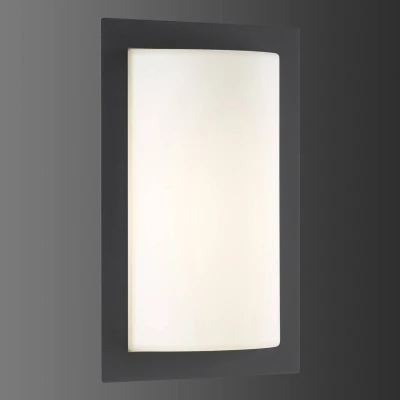 Afbeelding van LCD Met bewegingsmelder LED buiten wandlamp Luis