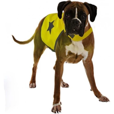 Afbeelding van Duvoplus Kledingaccessoire Voor Dieren Hond Veiligheidsjasje Fluo L: 56cm Neon Geel 1st
