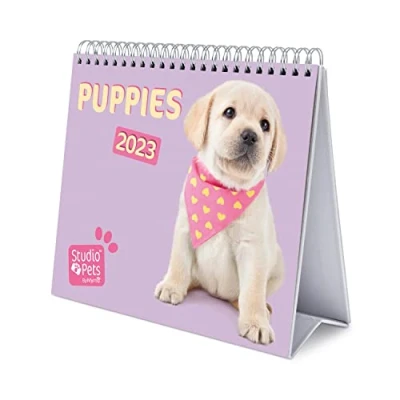 Afbeelding van Grupo Erik CS23013 Kalender 2023 Studio Pets Dogs Bureaukalender 12 maanden met fsc certificaat