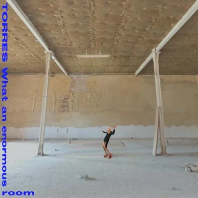 Afbeelding van Torres What an Enormous Room (LP)