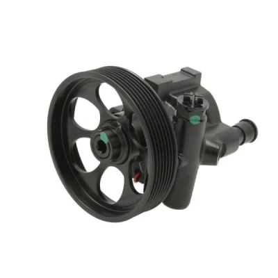 Afbeelding van Lauber Servopomp 55.4300
