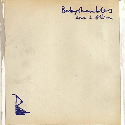 Afbeelding van Babyshambles Down In Albion (CD)