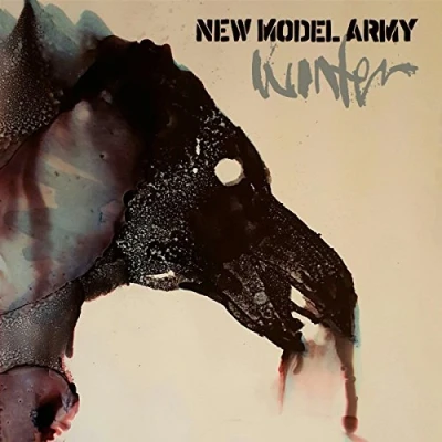 Afbeelding van New Model Army Winter