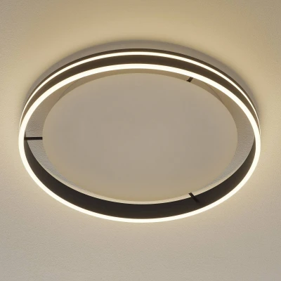 Afbeelding van Paul Neuhaus Design plafondlamp Q Vito Ø 59cm antraciet 8416 13
