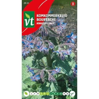 Afbeelding van Komkommerkruid Zaden Eetbare Bloemen voor Culinaire en Decoratieve Toepassingen