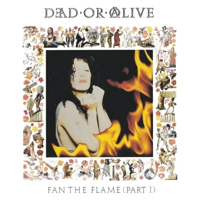 Afbeelding van Dead Or Alive Fan The..