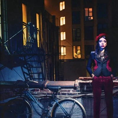 Afbeelding van Hurray For The Riff Raff Navigator (LP)