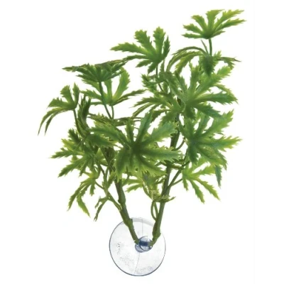 Afbeelding van Zoo Med Laboratories AZMBP21 Betta Plant, Papaja