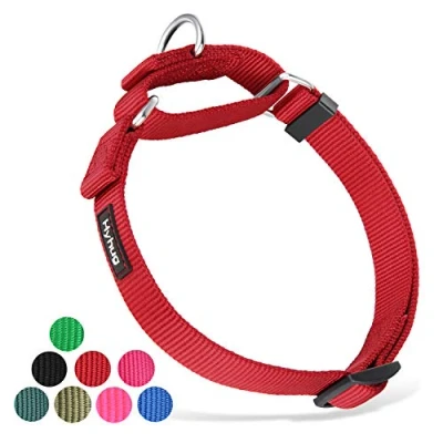 Afbeelding van Hyhug Duurzame nylon verstikkingshalsband, geschikt voor dagelijks gebruik en training van kleine, middelgrote grote honden (groot, donkerrood)