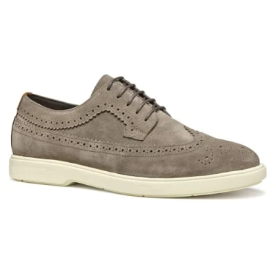Afbeelding van Geox U Spherica EC17 Veterschoenen, Heren, Maat: 42, Dove grey Leer