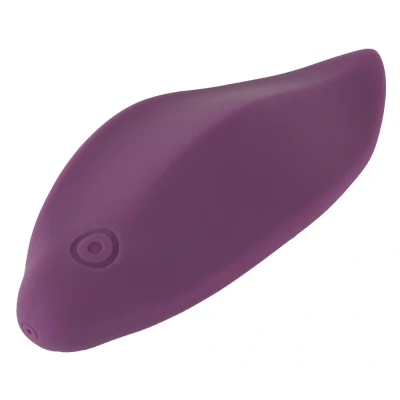 Afbeelding van Panty Vibrator met Afstandsbediening Paars