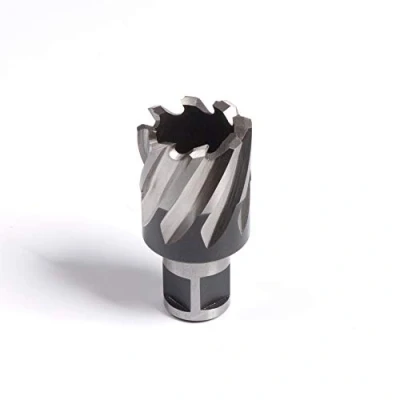 Afbeelding van Evolution Power Tools korte serie brootsfrees voor magneetboor universeel passende magneetboorbit 25 mm lengte x diameter