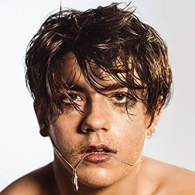 Afbeelding van Declan McKenna What Do You Think About the Car? (2 LPs)