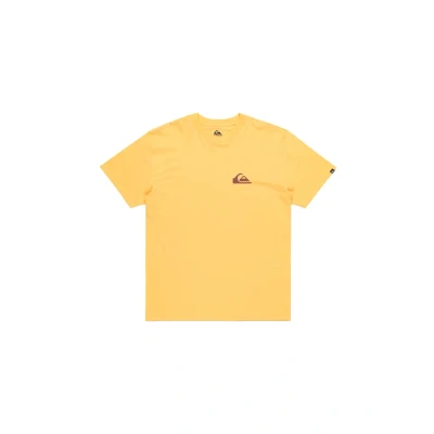 Afbeelding van Quiksilver EV MINI LOGO Tshirt basic, Heren, Maat: XS, Ngr