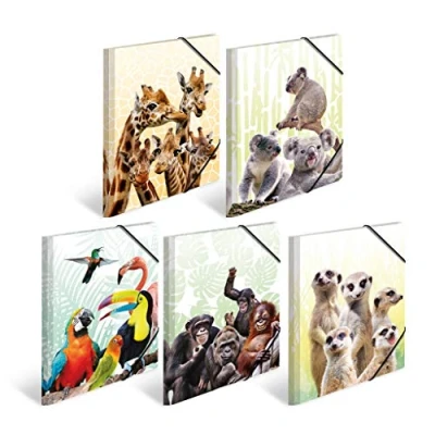 Afbeelding van HERMA 19956 Verzamelmappen A4 exotische dierenassortiment, 10 stuks, hoekspanmappen voor kinderen van kunststof met interne druk en elastiek, stevige plastic inslagmappen jongens meisjes