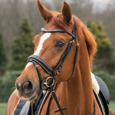 Afbeelding van Horka Hoofdstel Deluxe Zwart/Rosegoud PONY