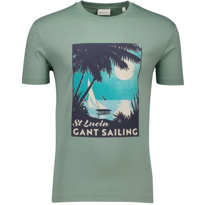 Afbeelding van GANT Placed Graphic Tshirt print, Heren, Maat: Medium, Kalamata green