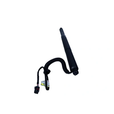Afbeelding van Gasveer, legbodem (Koffer /Laadruimte) MAXGEAR 12 2555