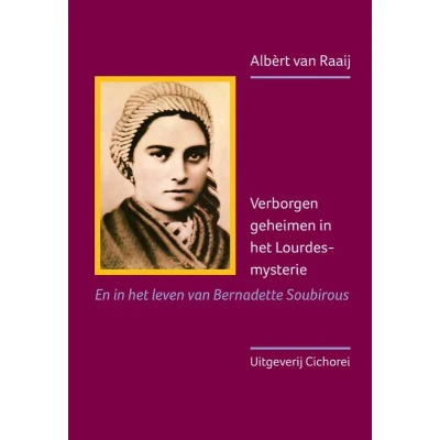 Afbeelding van Verborgen geheimen in het Lourdes mysterie (Paperback)