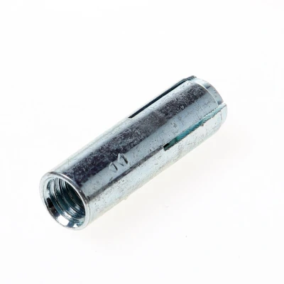 Afbeelding van Sormat Inslaganker la m10 x 40mm