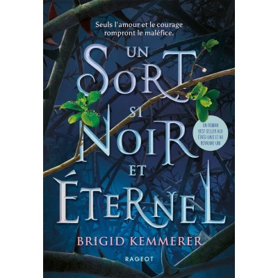 Afbeelding van Un sort si noir et éternel