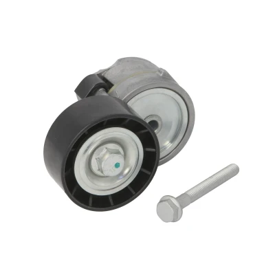Afbeelding van Riemspanner, Poly V riem BTA E3F0009BTA