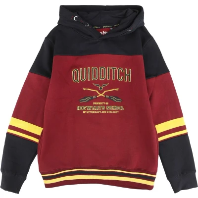Afbeelding van Harry Potter Kids Gryffindor Hogwarts School Trui met capuchon meerkleurig 164