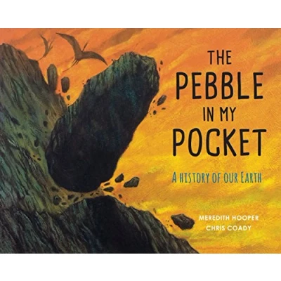 Afbeelding van The Pebble in My Pocket: A History of Our Earth