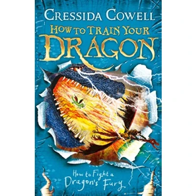 Afbeelding van How to Train Your Dragon: Fight a Dragon&#039;s Fury: Book 12