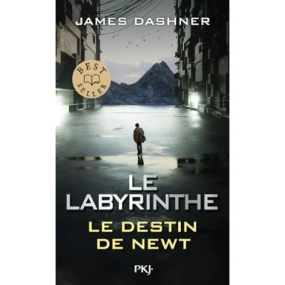 Afbeelding van Le Labyrinthe : destin de Newt