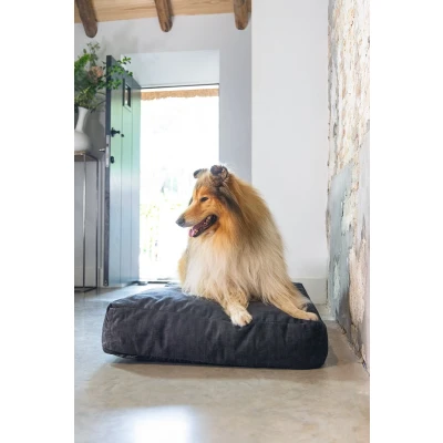 Afbeelding van Designed by Lotte hondenkussen Unnay Donkergrijs 100 cm Hond