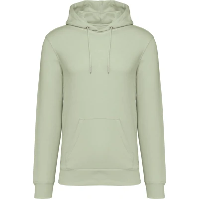 Afbeelding van Native Spirit Ecologische uniseks sweater met capuchon NS401 Celadon Green