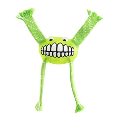 Afbeelding van Rogz Hondenspeelgoed Flossy Grinz Lime